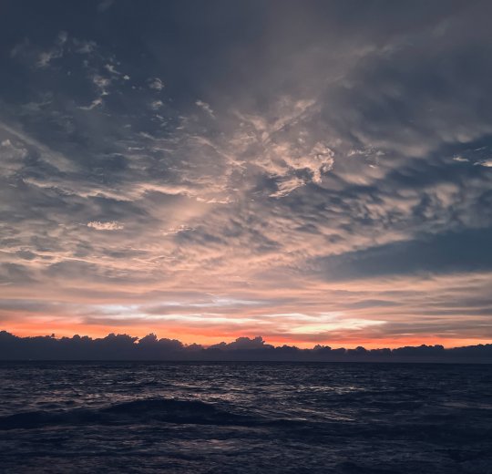 Туры в Негомбо 2025 - цены на путевки в Шри-Ланку из Москвы от туроператора Tez Tour