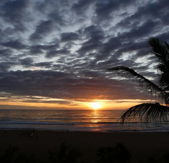 Туры в Негомбо 2025 - цены на путевки в Шри-Ланку из Москвы от туроператора Tez Tour