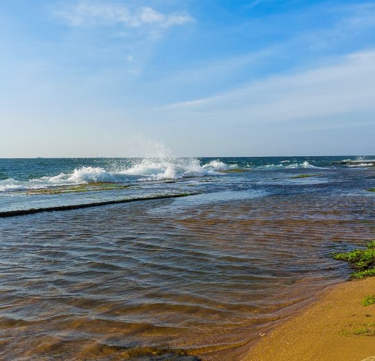 Туры в Негомбо 2025 - цены на путевки в Шри-Ланку из Москвы от туроператора Tez Tour