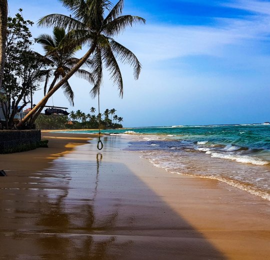 Туры в Хиккадуву 2025 - цены на путевки в Шри-Ланку из Москвы от туроператора Tez Tour