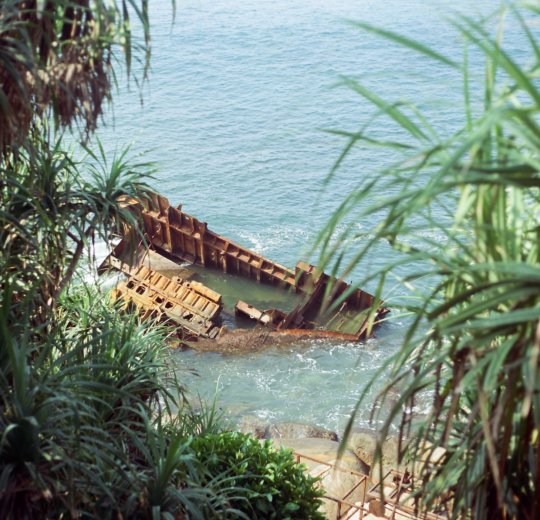 Туры в Хиккадуву 2025 - цены на путевки в Шри-Ланку из Москвы от туроператора Tez Tour