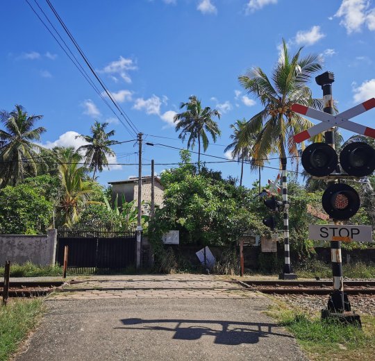 Туры в Хиккадуву 2025 - цены на путевки в Шри-Ланку из Москвы от туроператора Tez Tour