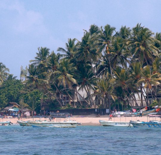 Туры в Хиккадуву 2025 - цены на путевки в Шри-Ланку из Москвы от туроператора Tez Tour