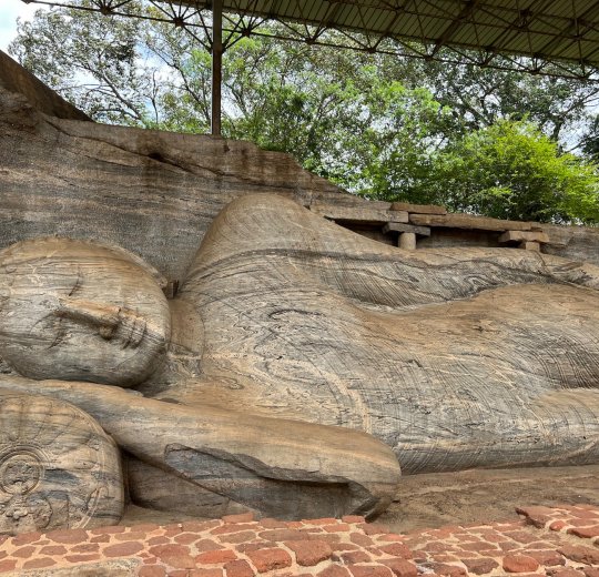 Туры в Калутару 2025 - цены на путевки в Шри-Ланку из Москвы от туроператора Tez Tour