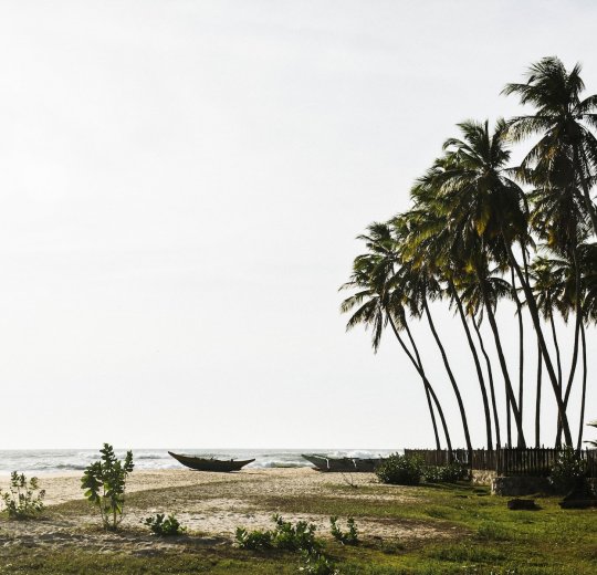 Туры в Канди 2025 - цены на путевки в Шри-Ланку из Москвы от туроператора Tez Tour