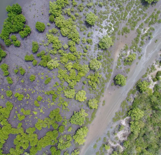Туры в Канди 2025 - цены на путевки в Шри-Ланку из Москвы от туроператора Tez Tour