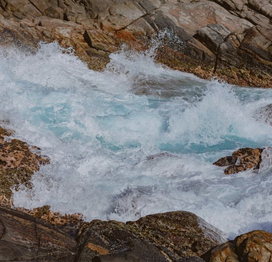 Туры в Канди 2025 - цены на путевки в Шри-Ланку из Москвы от туроператора Tez Tour