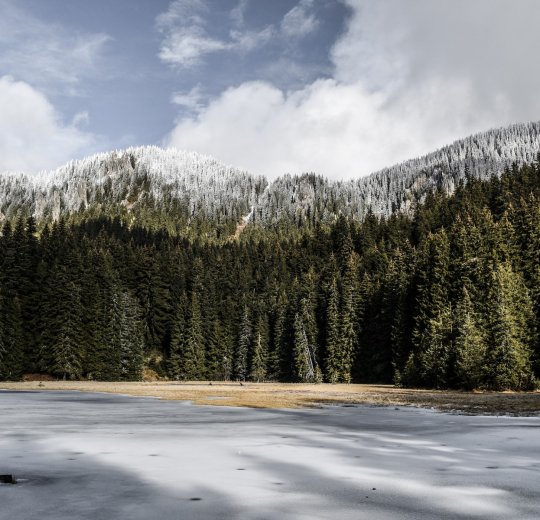Туры в Албену 2025 - цены на путевки в Болгарию из Москвы от туроператора Tez Tour Туры в Албену 2025 - цены на путевки в Болгарию из Москвы от туроператора Tez Tour