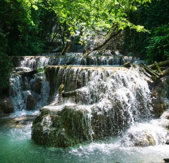 Туры в Боровец 2025 - цены на путевки в Болгарию из Москвы от туроператора Tez Tour Туры в Боровец 2025 - цены на путевки в Болгарию из Москвы от туроператора Tez Tour