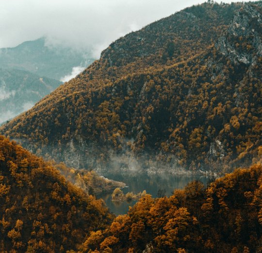 Туры в Елените 2025 - цены на путевки в Болгарию из Москвы от туроператора Tez Tour