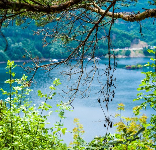 Туры в Дюни 2025 - цены на путевки в Болгарию из Москвы от туроператора Tez Tour Туры в Дюни 2025 - цены на путевки в Болгарию из Москвы от туроператора Tez Tour