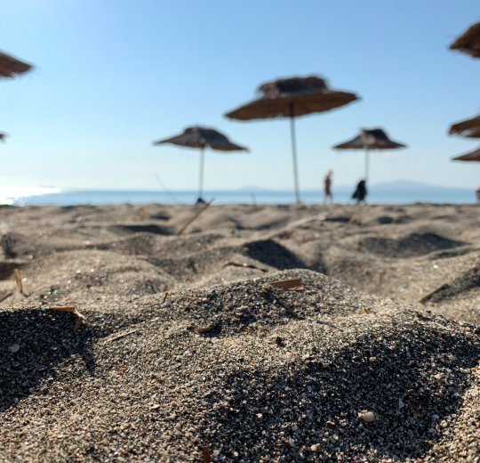 Туры в Обзор 2025 - цены на путевки в Болгарию из Москвы от туроператора Tez Tour Туры в Обзор 2025 - цены на путевки в Болгарию из Москвы от туроператора Tez Tour