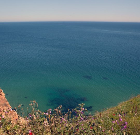 Туры в Пампорово 2025 - цены на путевки в Болгарию из Москвы от туроператора Tez Tour