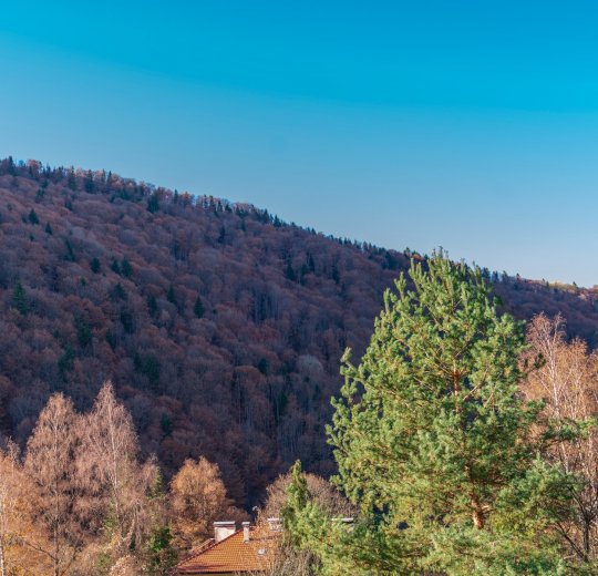 Туры в Приморско 2025 - цены на путевки в Болгарию из Москвы от туроператора Tez Tour Туры в Приморско 2025 - цены на путевки в Болгарию из Москвы от туроператора Tez Tour