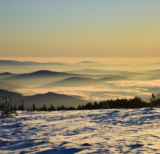 Туры на Золотые Пески 2025 - цены на путевки в Болгарию из Москвы от туроператора Tez Tour Туры на Золотые Пески 2025 - цены на путевки в Болгарию из Москвы от туроператора Tez Tour