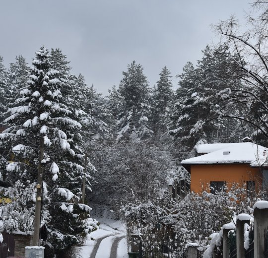 Туры в Кранево 2025 - цены на путевки в Болгарию из Москвы от туроператора Tez Tour