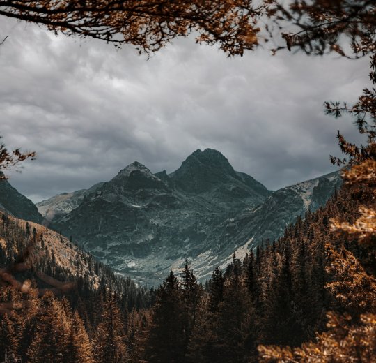 Туры в Кранево 2025 - цены на путевки в Болгарию из Москвы от туроператора Tez Tour