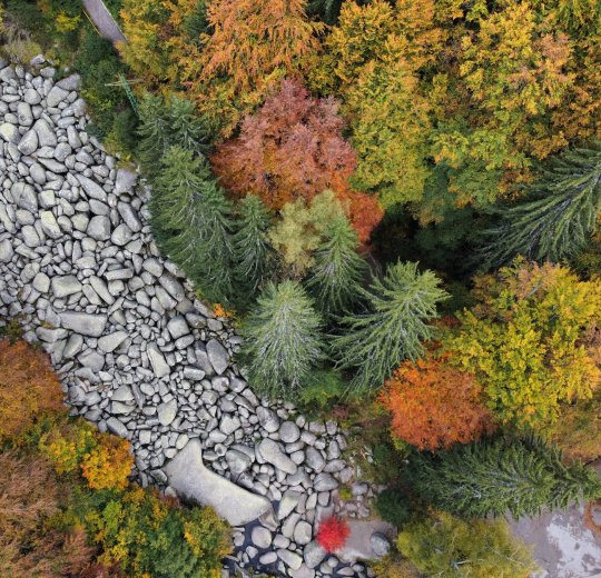 Туры на Солнечный Берег 2025 - цены на путевки в Болгарию из Москвы от туроператора Tez Tour