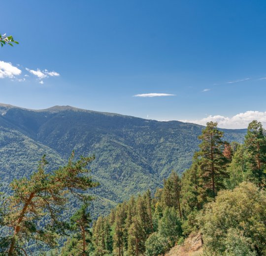 Туры на Солнечный Берег 2025 - цены на путевки в Болгарию из Москвы от туроператора Tez Tour