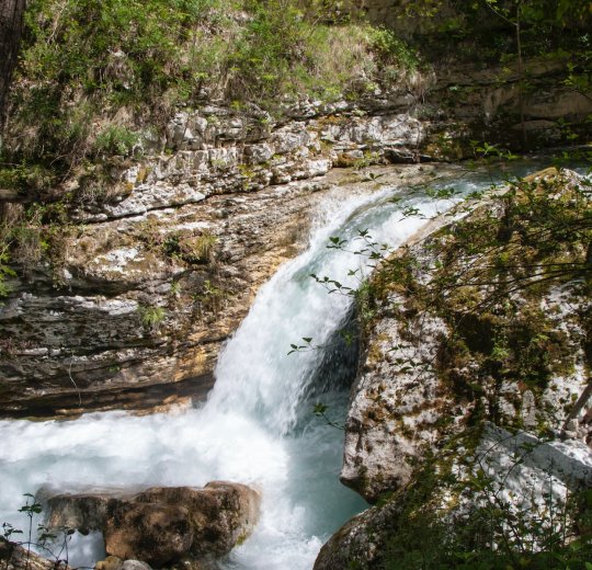 Туры в Абано-Терме 2025 - цены на путевки в Италию из Москвы от туроператора Tez Tour