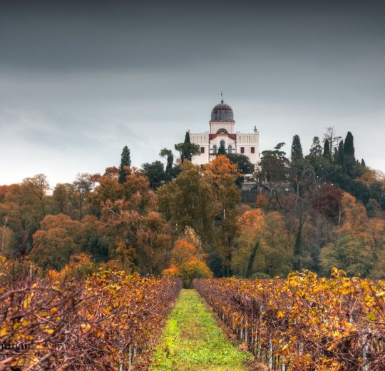 Туры в Абано-Терме 2025 - цены на путевки в Италию из Москвы от туроператора Tez Tour
