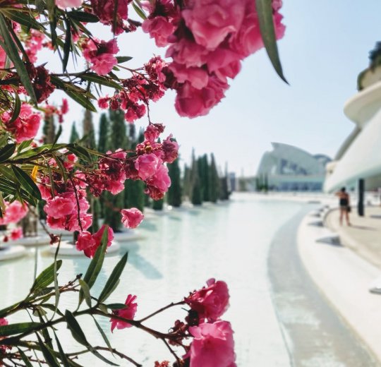 Туры в Валенсию 2025 - цены на путевки в Испанию из Москвы от туроператора Tez Tour