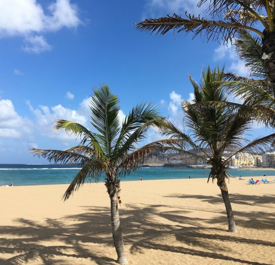 Туры на Канарские о-ва Гран Канария 2025 - цены на путевки в Испанию из Москвы от туроператора Tez Tour