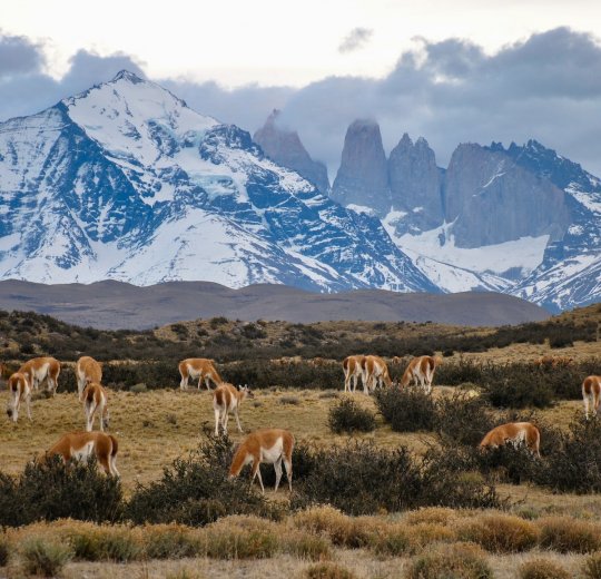 Туры в Коста дель Соль 2025 - цены на путевки в Испанию из Москвы от туроператора Tez Tour