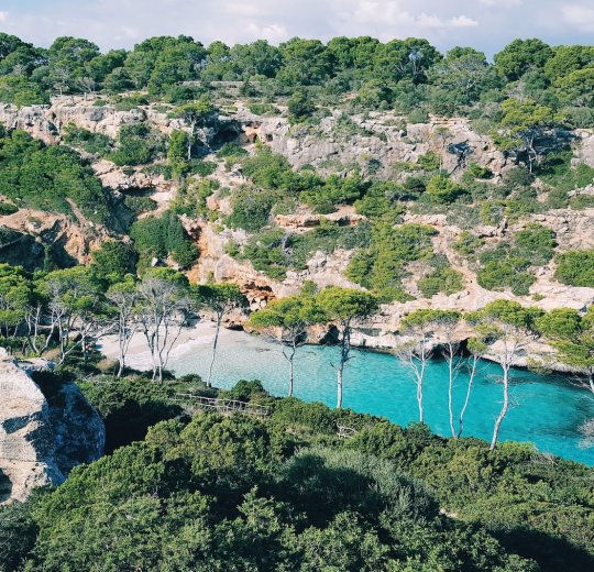 Туры на Майорку 2025 - цены на путевки в Испанию из Москвы от туроператора Tez Tour