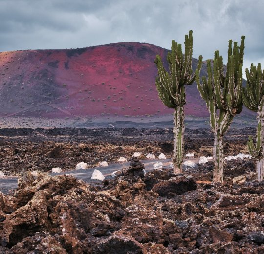 Туры на Канарские о-ва Лансароте 2025 - цены на путевки в Испанию из Москвы от туроператора Tez Tour