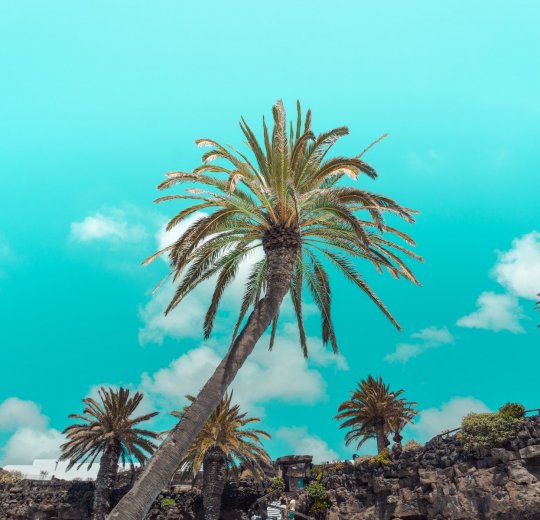 Туры на Канарские о-ва Лансароте 2025 - цены на путевки в Испанию из Москвы от туроператора Tez Tour