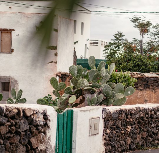 Туры на Канарские о-ва Фуэртевентура 2025 - цены на путевки в Испанию из Москвы от туроператора Tez Tour