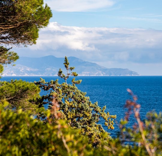 Туры в Коста Дель Азар 2025 - цены на путевки в Испанию из Москвы от туроператора Tez Tour