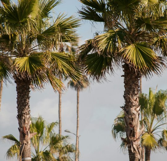 Туры в Тагазут 2025 - цены на путевки в Марокко из Москвы от туроператора Tez Tour