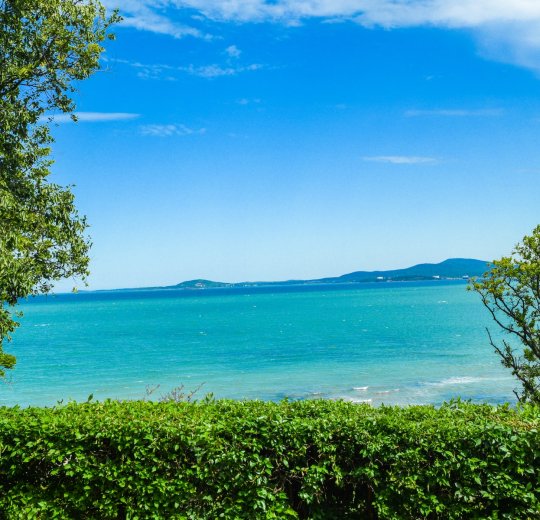 Туры в Болгарию 2025 из Москвы - цена на отдых от туроператора Tez Tour