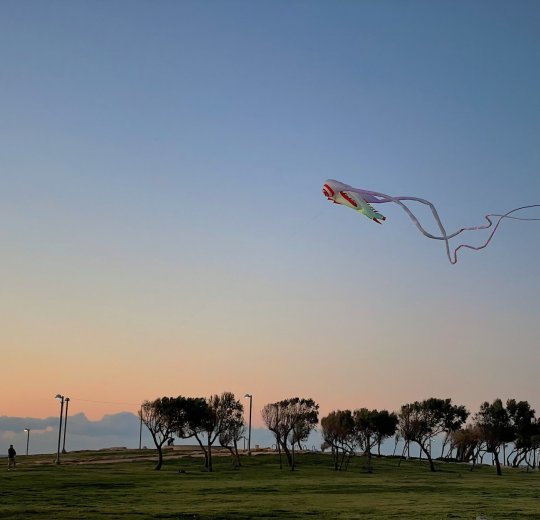 Туры в Израиль 2025 из Москвы - цена на отдых от туроператора Tez Tour