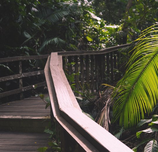 Туры в Индонезию 2025 из Москвы - цена на отдых от туроператора Tez Tour