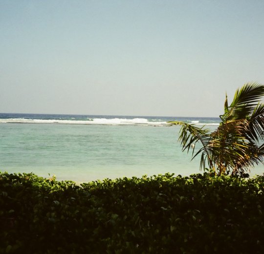 Туры на Мальдивы 2025 из Москвы - цена на отдых от туроператора Tez Tour