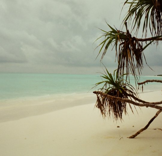 Туры на Мальдивы 2025 из Москвы - цена на отдых от туроператора Tez Tour