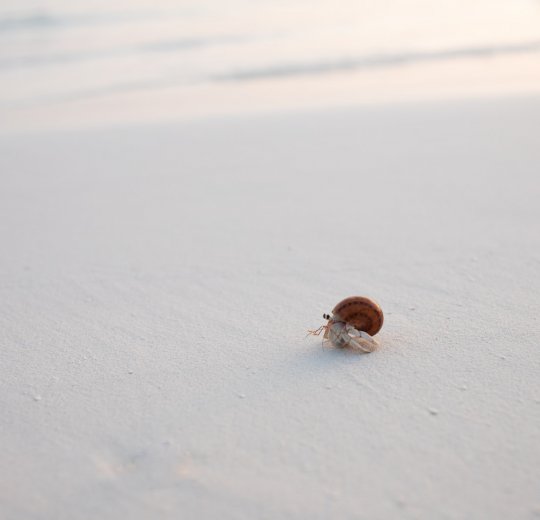 Туры на Мальдивы 2025 из Москвы - цена на отдых от туроператора Tez Tour