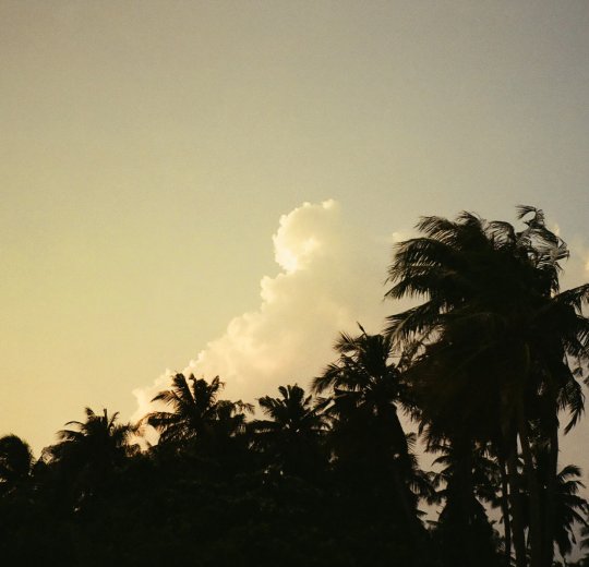 Туры на Мальдивы 2025 из Москвы - цена на отдых от туроператора Tez Tour