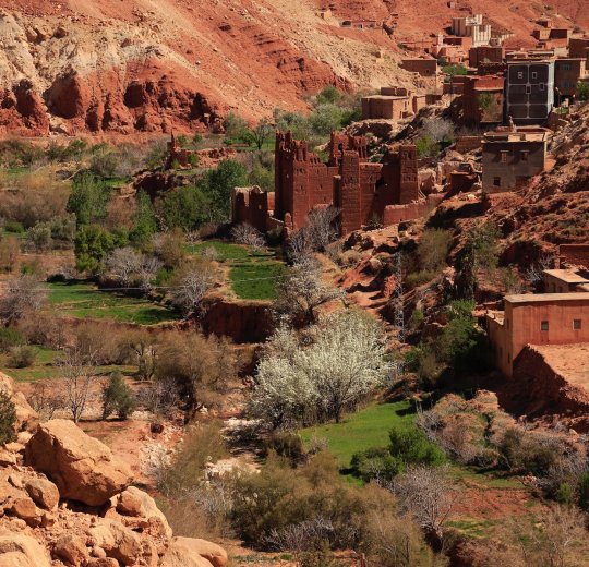 Туры в Марокко 2025 из Москвы - цена на отдых от туроператора Tez Tour