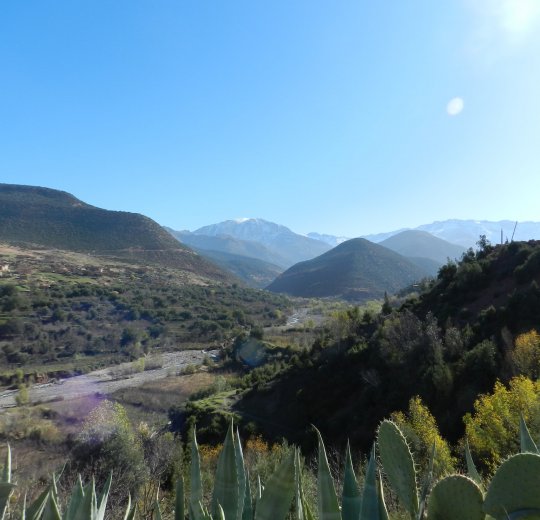 Туры в Марокко 2025 из Москвы - цена на отдых от туроператора Tez Tour