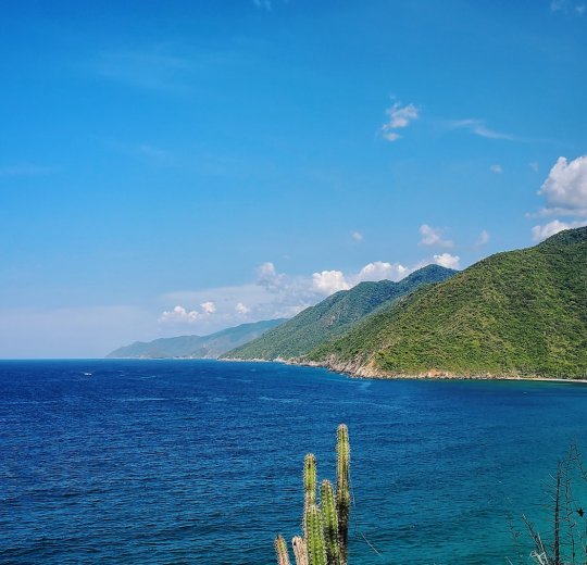 Туры в Венесуэлу 2025 из Москвы - цена на отдых от туроператора Tez Tour