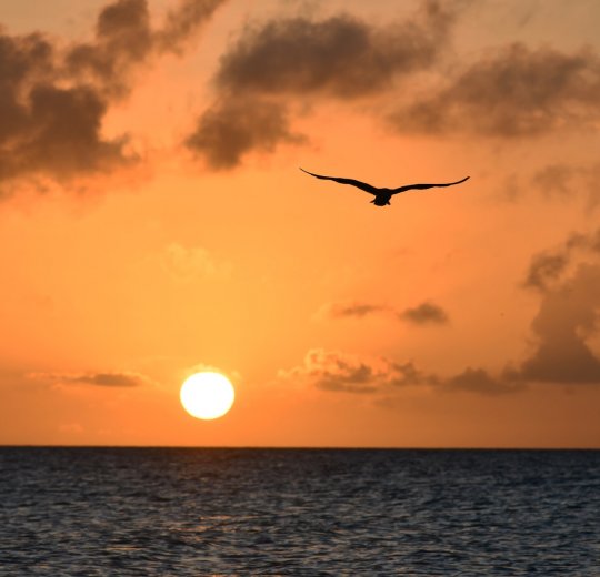 Туры в Венесуэлу 2025 из Москвы - цена на отдых от туроператора Tez Tour