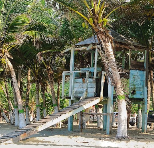 Туры в Венесуэлу 2025 из Москвы - цена на отдых от туроператора Tez Tour