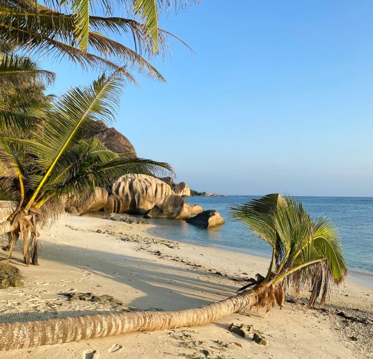 Туры на Сейшелы 2025 из Москвы - цена на отдых от туроператора Tez Tour Туры на Сейшелы 2025 из Москвы - цена на отдых от туроператора Tez Tour