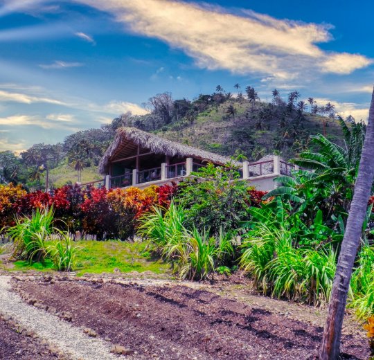 Туры в Доминикану 2025 из Москвы - цена на отдых от туроператора Tez Tour