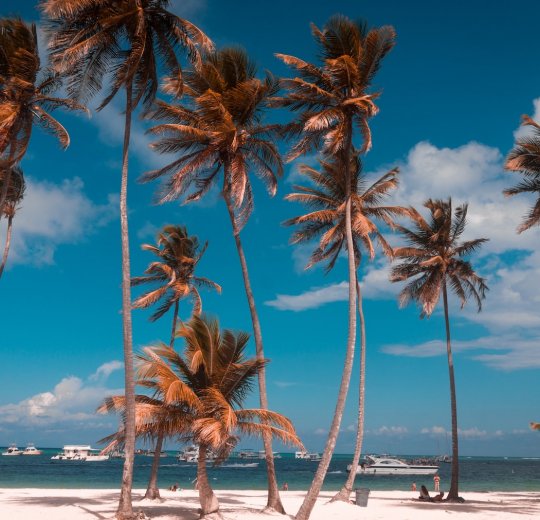 Туры в Доминикану 2025 из Москвы - цена на отдых от туроператора Tez Tour