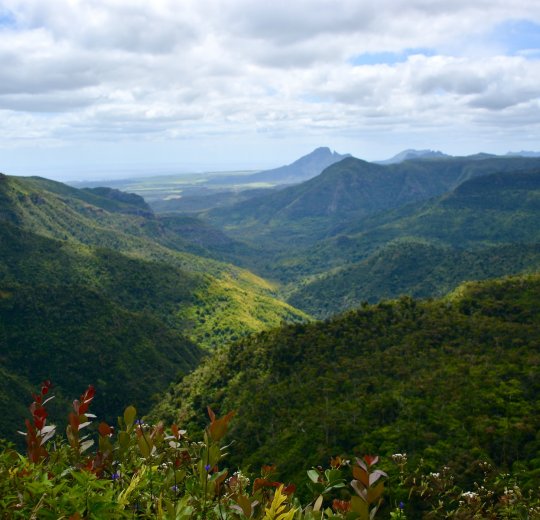 Туры на Маврикий 2025 из Москвы - цена на отдых от туроператора Tez Tour